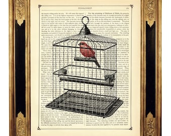 Red Bird Dictionary Art Birdcage II Poster Country Home Cottagecore - Page de livre victorienne vintage steampunk Impression artistique
