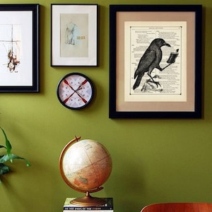 May include: A black and white illustration of a crow reading a book, framed in a black frame and hanging on a green wall. A globe, clock, and other framed artwork are also visible.