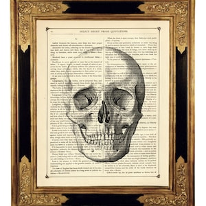 Human Skull Image Head Gothic Halloween Anatomy Poster Dark Academia Vintage Victorian Book Page Art Print Steampunk image 1