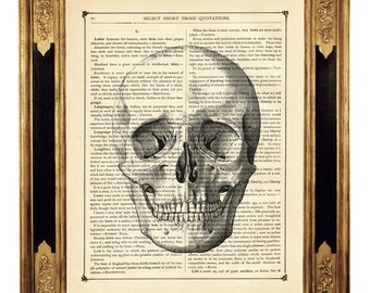 Imagen de cráneo humano, cabeza gótica de Halloween, cartel de anatomía Dark Academia, página de libro victoriano Vintage, impresión artística Steampunk