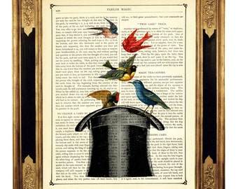 Oiseaux impression haut de forme affiche de tour de magie magicien assistant Cottagecore - page de livre victorienne vintage impression d'art dictionnaire Steampunk Wizard