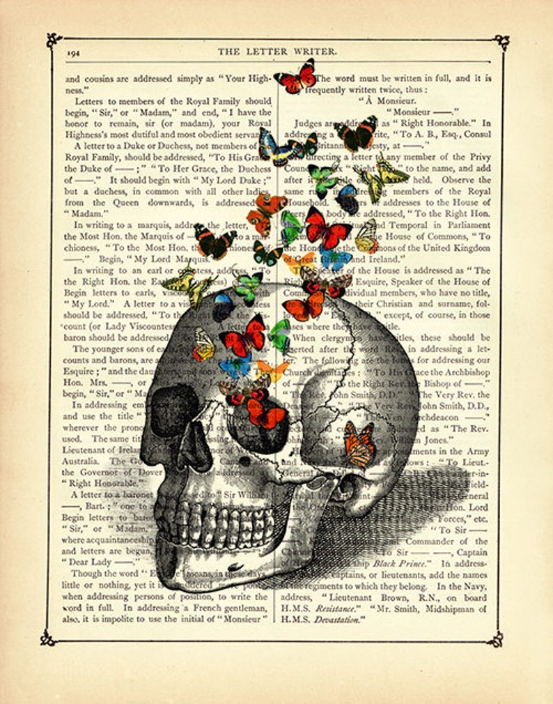 Cráneo humano Mariposas Huesos Anatomía Mariposa Academia oscura Gótico Halloween Página de libro victoriano vintage Póster impreso imagen 2