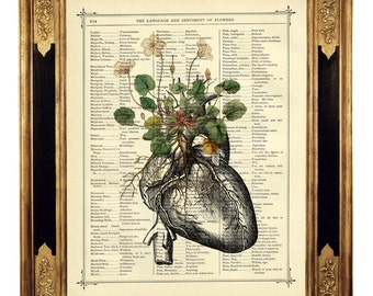 Flowers Art Anatomical Heart Steampunk Poster Gothic Dark Academia - Vintage Victorian Book Page Print Valentine's Day