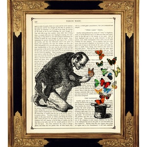 Gentleman Butterflies Dictionary Top Hat Magic Dark Academia Steampunk Poster - Vintage Victorian Book Page Art Print