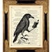 see more listings in the Animals, Birds, Insects section