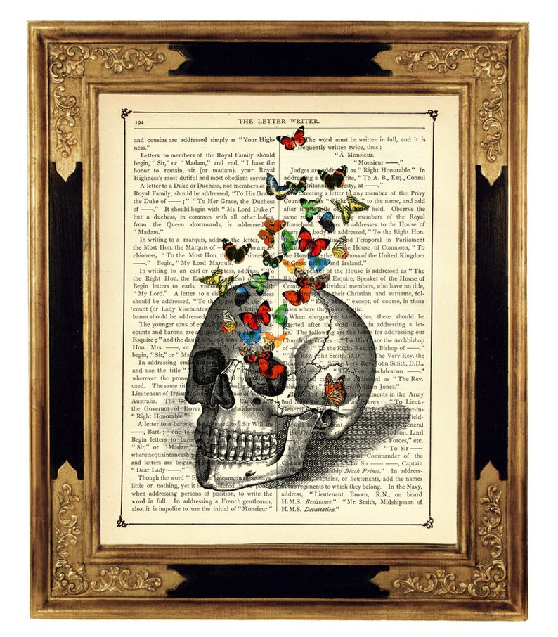 Human Skull Butterflies Bones Anatomy Butterfly Dark Academia Gothic Halloween Vintage Victorian Book Page Art Print Poster image 1