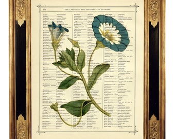 Flower Botany Picture Engraving Cottagecore Valentine's Day - Vintage Victorian Book Page Art Print Dictionary Wall Literary