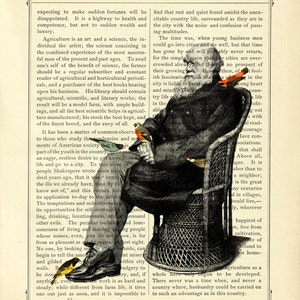 Charles Darwin and His Finches Birds Evolution Vintage Victorian Book ...