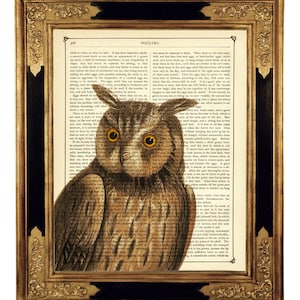 Owl Dictionary Art Print Woodland Forest Animal Bird Dark Academia Poster  - Vintage Victorian Book Page Steampunk