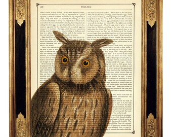 Owl Dictionary Art Print Woodland Forest Animal Bird Dark Academia Poster  - Vintage Victorian Book Page Steampunk