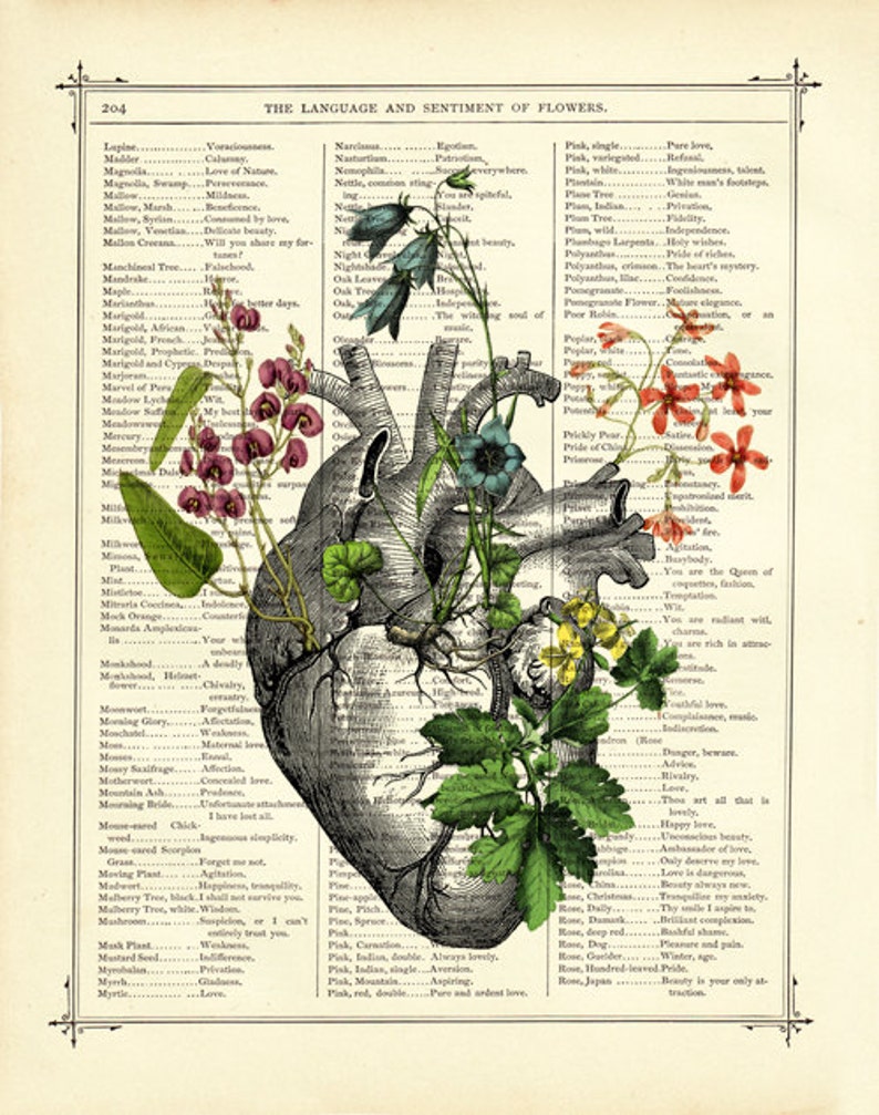 Anatomische hart bloemen Art Botany II Dark Academia Vintage Victoriaanse boekpagina Art Print Steampunk Valentijnsdag Gothic Halloween afbeelding 2