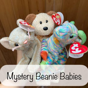 Mystery Ty Beanie Babies – Vintage 1990s/2000s Plush Toys – Random Surprise Collectible with Tag