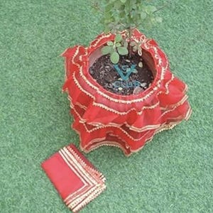 May include: A red fabric pot cover with gold trim, ruffled edges, and a plant inside. A matching red cloth with gold trim is next to the pot. The pot cover has the word "VONUS" on it. The items are on a green surface.