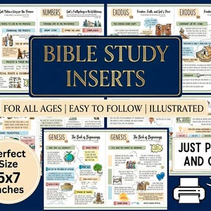 Pode incluir: Inserções de estudo bíblico ilustradas com texto como "Bible Study Inserts", "For All Ages" e "Just Print and Cut". As inserções medem 12,7 x 17,8 cm.