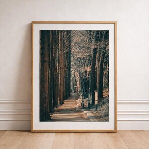 May include: A framed print of a forest path lined with tall trees. The artwork features a pathway leading into the distance, with sunlight filtering through the trees. The frame is a light brown color, and the print is displayed against a white wall and wooden floor.