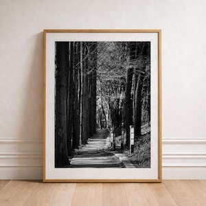 May include: Black and white framed print of a tree-lined path. The photograph captures a pathway leading into the distance, flanked by tall trees. The artwork is displayed in a wooden frame, leaning against a white wall and wooden floor.