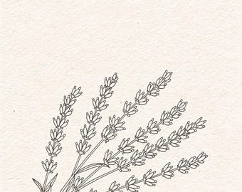 Lavender Wall Art Print, Botanical Line Drawing, Minimalist Digital Download | Lavender Decor, Floral Printable