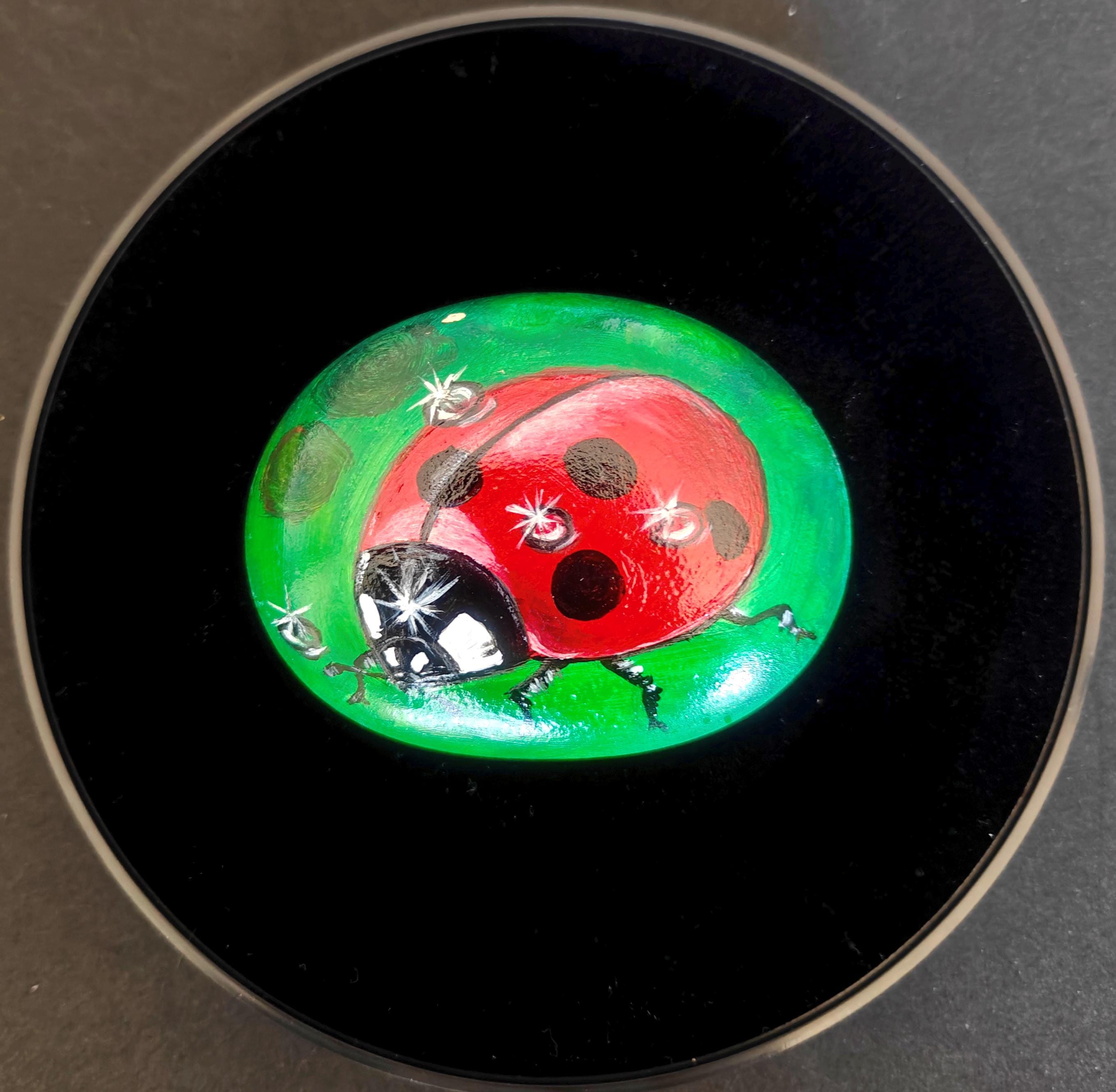 Ladybug pebble México