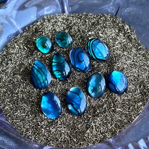 May include: A collection of iridescent blue and green abalone shell cabochons in various shapes and sizes, displayed on a bed of silver glitter.