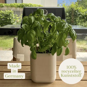 Könnte beinhalten: Eine Basilikumpflanze mit üppigen grünen Blättern in einem beigen, vertikal geriffelten Pflanztopf. Der Topf steht auf einem Holztisch. Der Text auf dem Bild lautet "Made in Germany" und "100% recycelter Kunststoff".