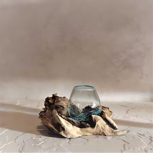 May include: A clear glass vase with a light blue rim sits on a piece of driftwood. The vase has a rounded shape and a slightly flared opening. The driftwood is a light brown color and has a rough, textured surface.