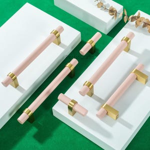 Peut inclure: Plusieurs poignées de meubles de différentes tailles. Elles sont composées d'une partie cylindrique rose clair, avec des détails métalliques dorés et des fixations carrées. Fond blanc et vert.