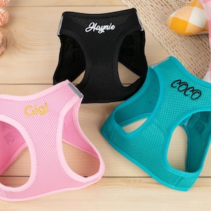 Op de afbeelding: Drie hondentuigjes in zwart, turquoise en roze. Elk tuigje heeft een geborduurde naam: "Haynie", "Coco" en "Gigi". De tuigjes zijn gemaakt van mesh-materiaal. Ze zijn ontworpen voor comfort en veiligheid.