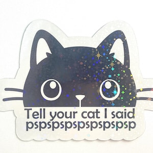 Tell Your Cat I Said Pspsps | Funny Car Magnet | Cute Black Cat Gift image 1