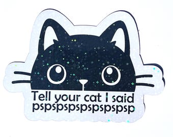 Imán holográfico de gato: "Dile a tu gato que dije Pspsps" Imán divertido para el coche / Lindo regalo de gato negro