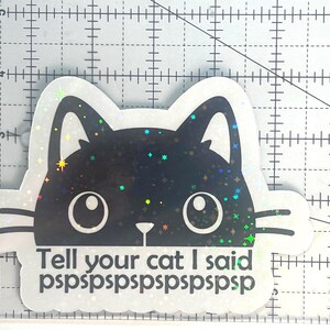 Tell Your Cat I Said Pspsps | Funny Car Magnet | Cute Black Cat Gift image 2