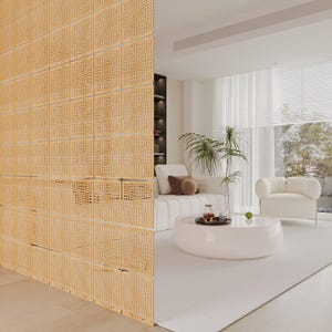 Puede incluir: Un salón moderno con un separador de ambientes de color madera clara y estampado. El separador está hecho de paneles cuadrados con un diseño texturizado. La habitación cuenta con muebles blancos, una alfombra blanca y una mesa de centro redonda. Una planta añade vegetación.