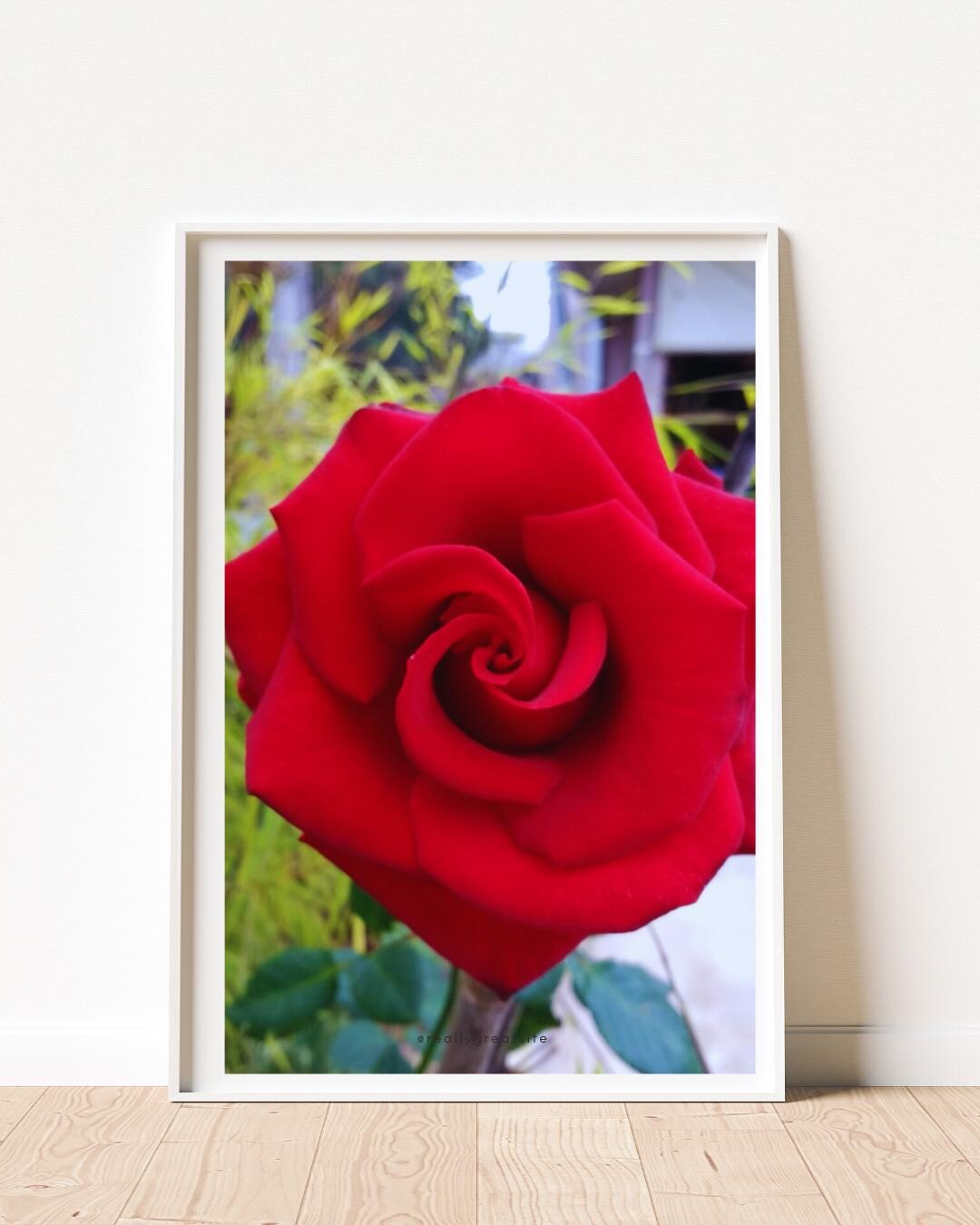 Red Rose Wall Art Print | Romantic Boho Floral Decor (digital Download ...