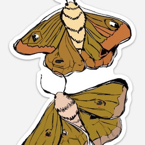 Moth Babies - Vinyl Sticker
