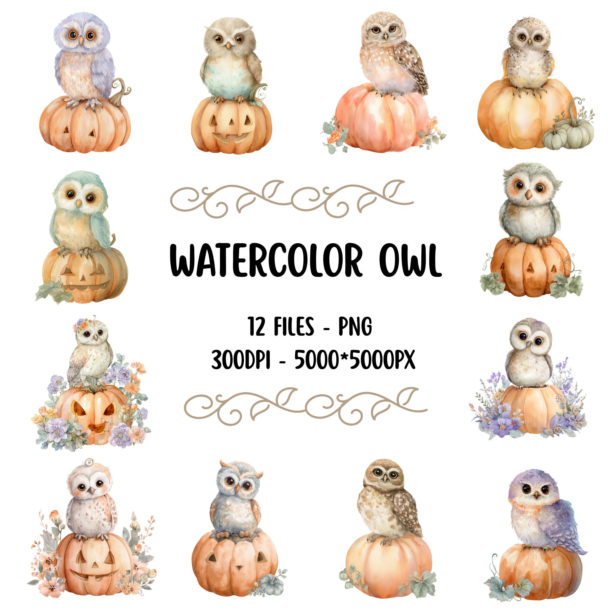 Watercolor Owl Pumpkin Clipart PNG, 12 Cute Fall Halloween Owls, Digital Download, Transparent, Stic