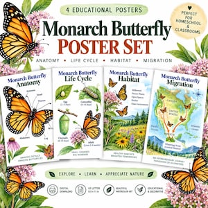 May include: A set of four educational posters featuring monarch butterflies. The posters illustrate anatomy, life cycle, habitat, and migration with watercolor art. Text includes Monarch Butterfly Poster Set, Anatomy, Life Cycle, Habitat, Migration, and US Letter 8.5 x 11 in.