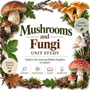 Può includere: Un documento educativo Mushrooms and Fungi Unit Study con il testo Grades Three-Six e Includes Answer Key. Il bordo è decorato con vari funghi, foglie verdi, foglie di quercia marroni, pigne e ramoscelli su sfondo bianco.