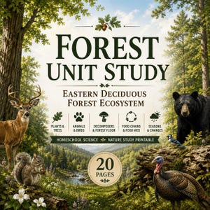 Puede incluir: Un documento imprimible de 20 páginas titulado Forest Unit Study Eastern Deciduous Forest Ecosystem. El diseño incluye ilustraciones de un ciervo, una ardilla, un oso negro y un pavo dentro de un paisaje forestal exuberante.