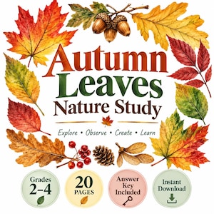 Pode incluir: Um recurso educativo digital intitulado Autumn Leaves Nature Study, com ilustrações em aguarela de folhagem de outono colorida, bolotas, bagas e uma pinha. O texto inclui Explore, Observe, Create, Learn, Grades 2-4, 20 Pages, Answer Key Included e Instant Download.