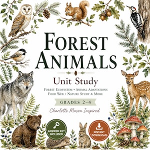 Op de afbeelding: Een Forest Animals Unit Study educatief document met aquarelillustraties van een uil, eekhoorn, specht, mees, wolf, hert, beer, egel en konijn. De tekst luidt Forest Animals Unit Study, Grades 2-4, Charlotte Mason Inspired.