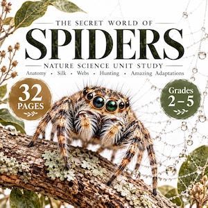 Op de afbeelding: Een 32-pagina tellend natuurwetenschappelijk studieboek getiteld The Secret World of Spiders. De omslag toont een bruine en zwarte springspin op een met korstmos bedekte tak, een spinnenweb met waterdruppels en de vermelding van groep 4-7.