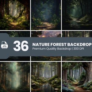 May include: A collection of 36 nature forest backdrop images. The images showcase various forest scenes with sunlight filtering through the trees. The text on the image reads "NATURE FOREST BACKDROP Premium Quality Backdrop | 300 DPI".
