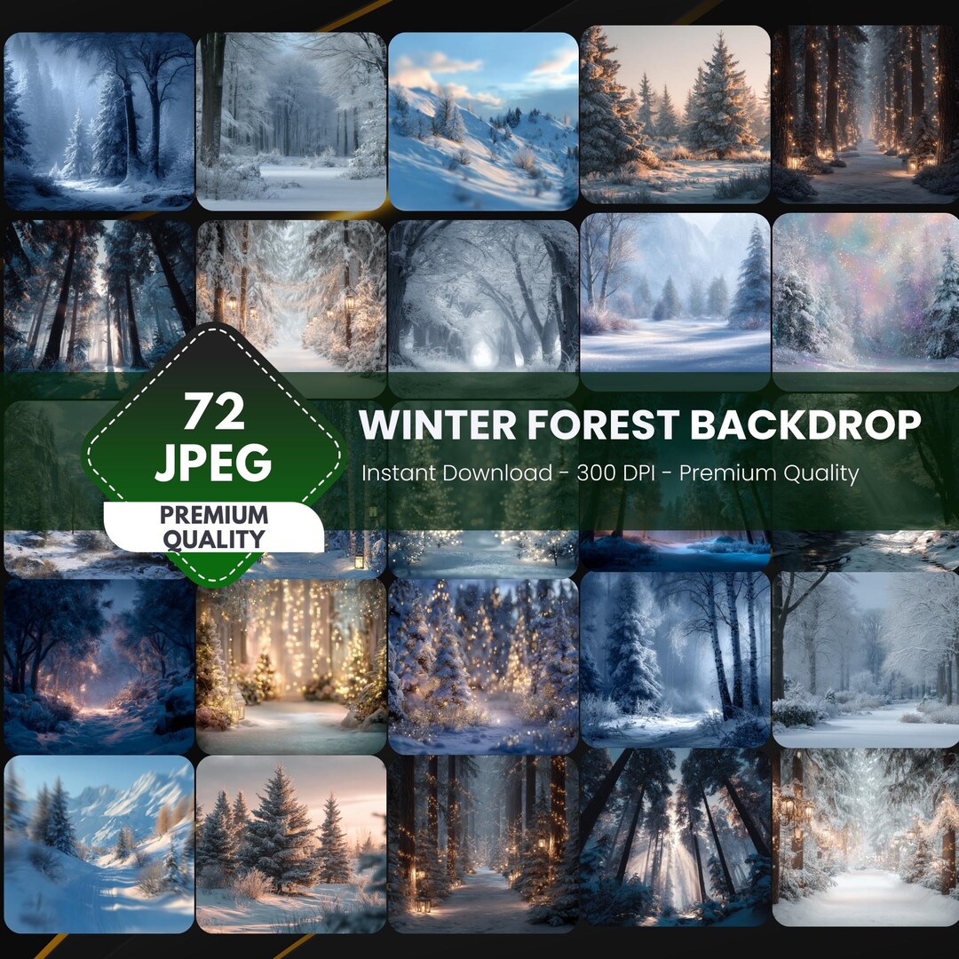 72 Wınter Forest Digital Backdrops: Snow Scene Photography (digital ...