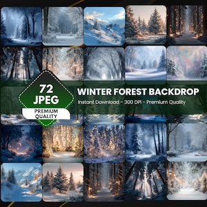 Puede incluir: Una colección de 72 imágenes de fondo de bosque invernal. Las imágenes muestran varias escenas de bosques nevados con árboles, senderos y luz solar. El texto de la imagen dice "Winter Forest Backdrop" y "Premium Quality".