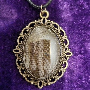 Gothic Real Snake Shed Necklace | Shed Skin Oval Pendant in Ornate Bronze Filigree Bezel with Included Cord | Alternative Witchy Jewelry Gif