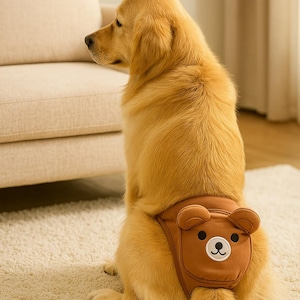 Washable Pet Diaper: Reusable Cotton Physiological Pant - [Pattern]