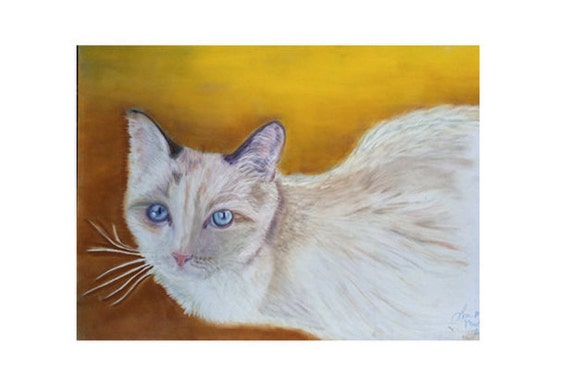 Print Limited Edition Rag Doll Cat Portrait Etsy