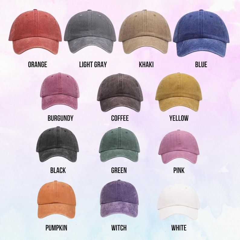 Washed Cotton Dad Hat: "A Pleasure To Have in Class" Embroidered Academic Cap image 5