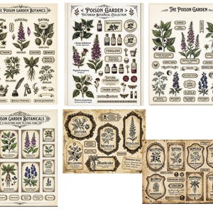 May include: A collection of vintage botanical prints titled "The Poison Garden Botanics." The prints feature detailed illustrations of poisonous plants like Belladonna, Foxglove, and Datura, with labels and decorative elements. The color palette is muted with sepia tones.
