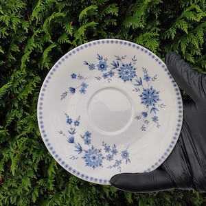 May include: White ceramic saucer with a blue floral pattern and a dotted border. The saucer features a central indentation for a teacup and is held against a backdrop of green foliage.