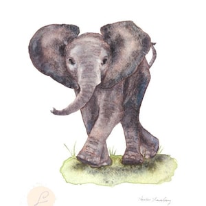 Romping Baby Elephant- Print